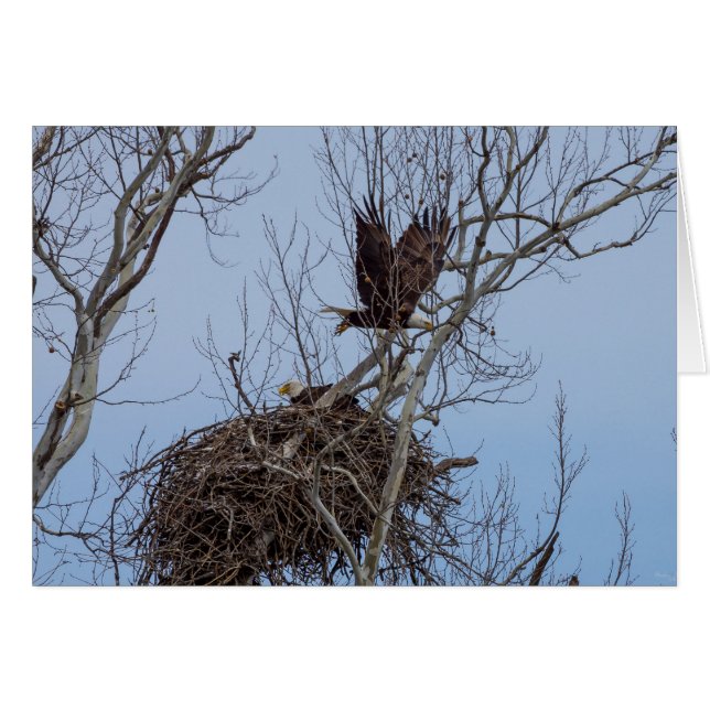 Aus für mehr (Vorderseite (Horizontal))