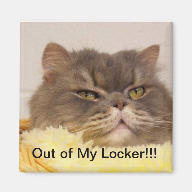 AUS LOCKER MAGNET (Vorne)