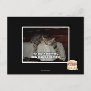 Aus Mangel an Interesse Postkarte