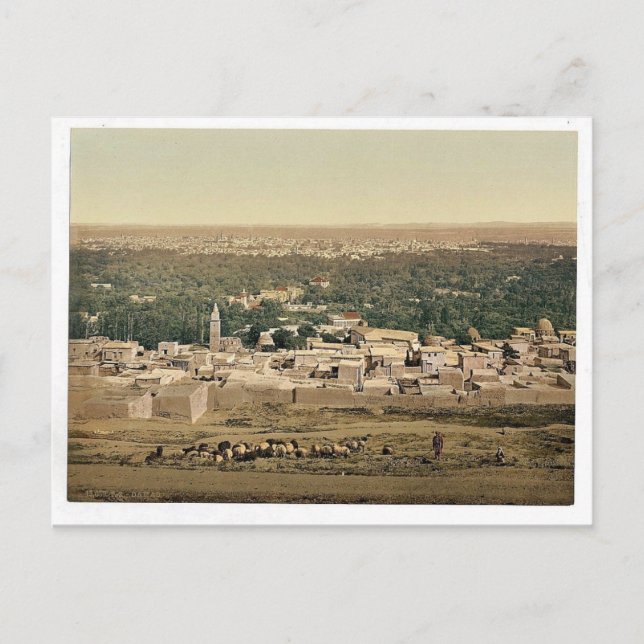 Aus Sallah, Damaskus, Heiliges Land (d.h. Syrien)  Postkarte (Vorderseite)