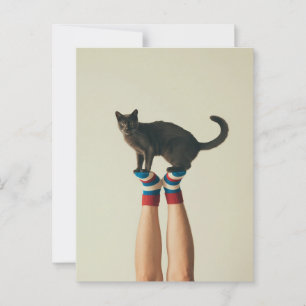 Ausbalancieren der Katze auf den gestreiften Socke Postkarte