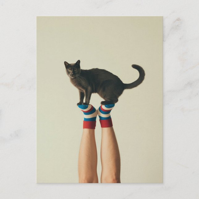 Ausbalancieren der Katze auf den gestreiften Socke Postkarte (Vorderseite)