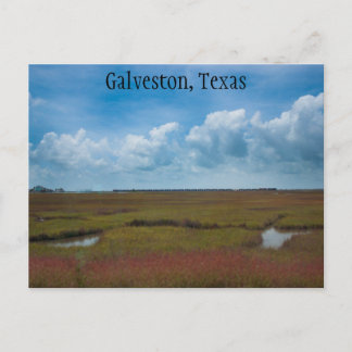 Ausbildung und Sümpfe in Galveston, Texas Postcard Postkarte