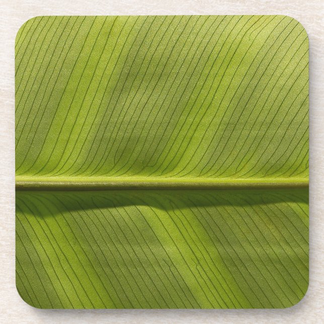 ausblättern getränkeuntersetzer (Vorderseite)