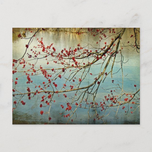 Ausblenden Postkarte (Vorderseite)