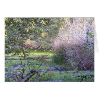 Ausblenden und Suchen