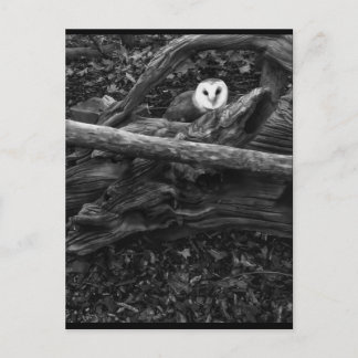 Ausblenden und Suchen Postkarte