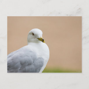 Ausblick Postkarte