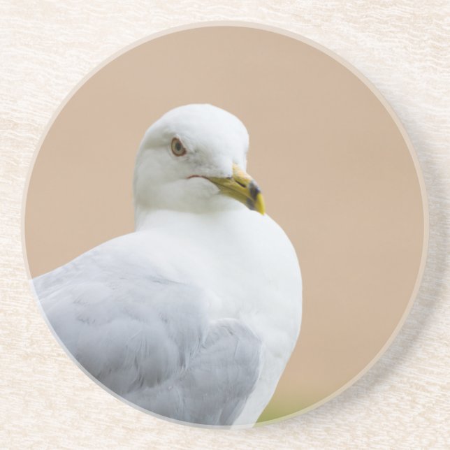 Ausblick Untersetzer (Vorne)