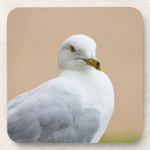 Ausblick Untersetzer