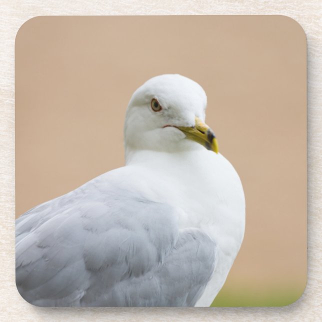 Ausblick Untersetzer (Vorderseite)