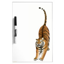 Ausdehnen bengalischer Tiger-des trockenen