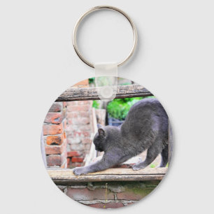 Ausdehnen der Katze Schlüsselanhänger