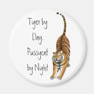 Ausdehnen des bengalischen Tiger-Magneten Magnet