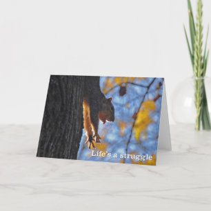 Ausdehnen des Eichhörnchens Karte