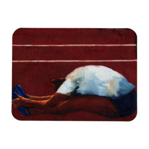 Ausdehnung 2011 magnet