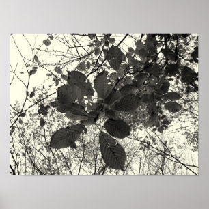Ausdruck Poster