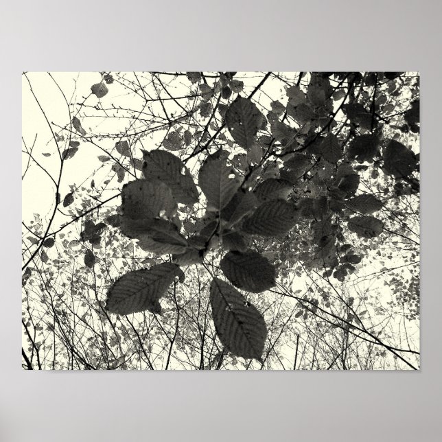 Ausdruck Poster (Vorne)