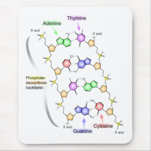 Ausführliches Diagramm der chemischen Struktur vo Mousepad