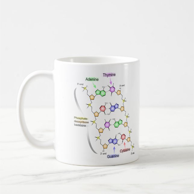 Ausführliches Diagramm der chemischen Struktur von Kaffeetasse (Links)