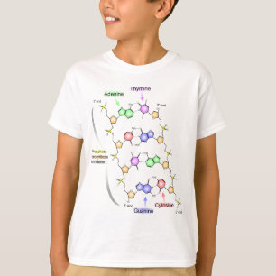 Ausführliches Diagramm der chemischen Struktur von T-Shirt