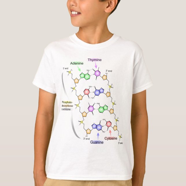 Ausführliches Diagramm der chemischen Struktur von T-Shirt (Vorderseite)