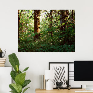 Ausgabe des verzauberten Waldposters Poster