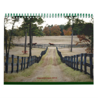 Ausgaben 2015 kalender
