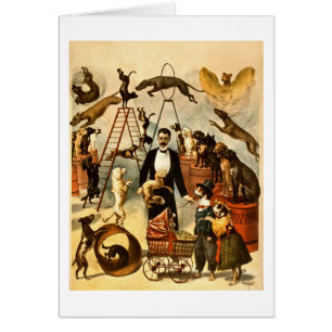 Ausgebildete Hundetat 1899 - Vintages