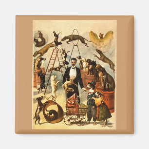 Ausgebildete Hundetat 1899 - Vintages Magnet