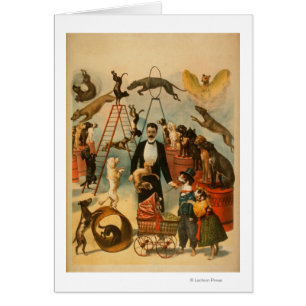 Ausgebildetes Hundetaten-Theaterplakat