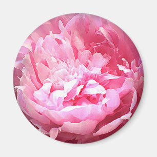 Ausgebrütete rosa Pfingstrose Magnet