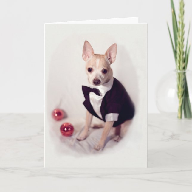 Ausgedeckter Hund Feiertagskarte (Vorderseite)