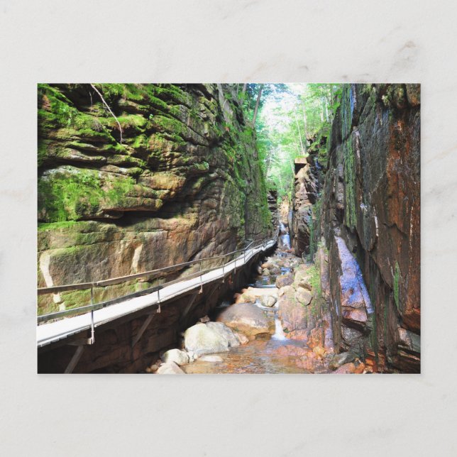 Ausgesetzte Trasse Stream Franconia Notch NH Postc Postkarte (Vorderseite)