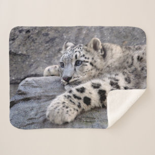 Ausgespielte Sherpa-Decke Sherpadecke