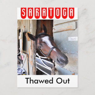 ausgespuckt postkarte