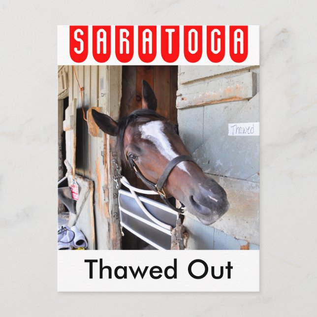 ausgespuckt postkarte (Vorderseite)