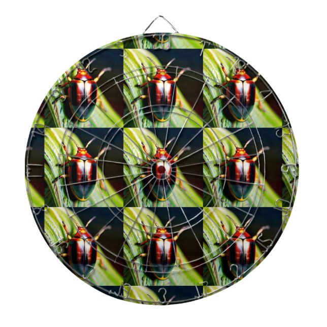 ausgestopft dartscheibe (vorne)