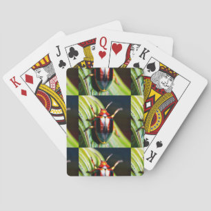 ausgestopft spielkarten