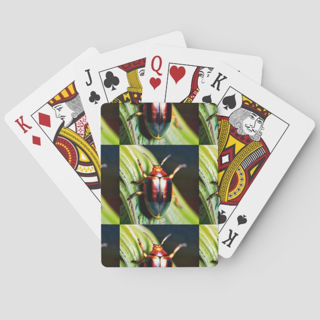 ausgestopft spielkarten (Rückseite)