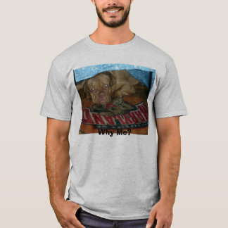 Ausgewachsener männlicher Känguru 006, warum ich? T-Shirt