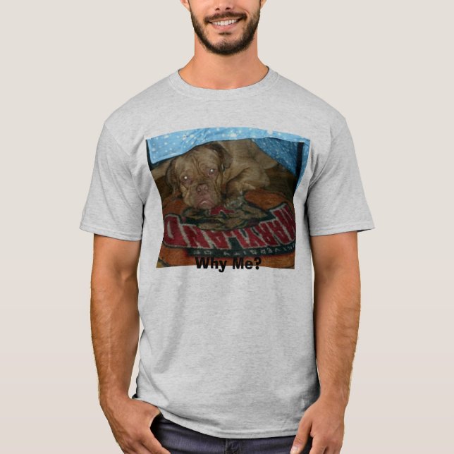Ausgewachsener männlicher Känguru 006, warum ich? T-Shirt (Vorderseite)