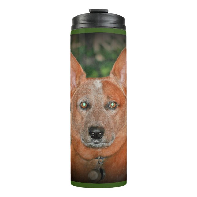 "Ausgewachsener männlicher Känguru" rote Heeler Thermosbecher (Vorderseite)