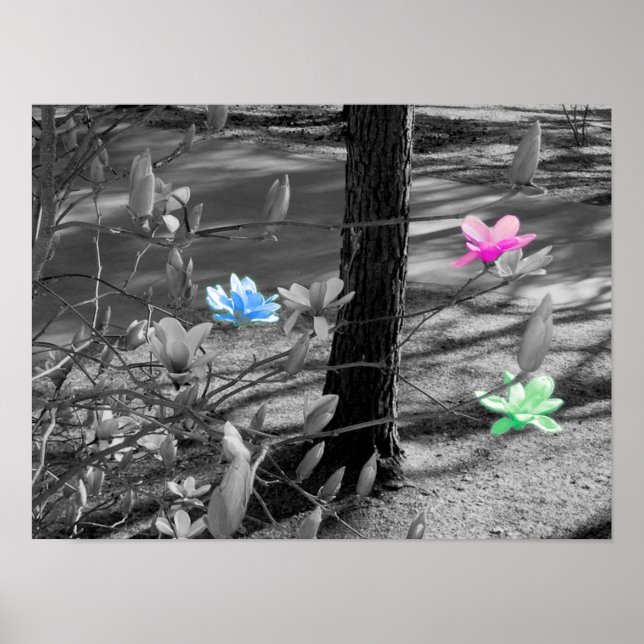 Ausgewählte Blume Poster (Vorne)