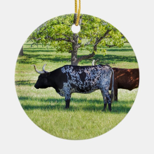 Ausgezeichnete Ochsen Texas Longhorn Keramikornament (Vorne)