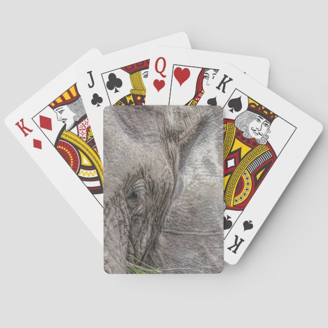Ausgezeichneter Elefant-Spielkarten Spielkarten (Rückseite)