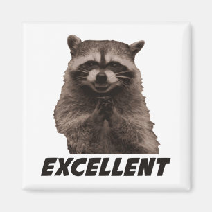 Ausgezeichneter schlechter Darstellungs-Waschbär Magnet