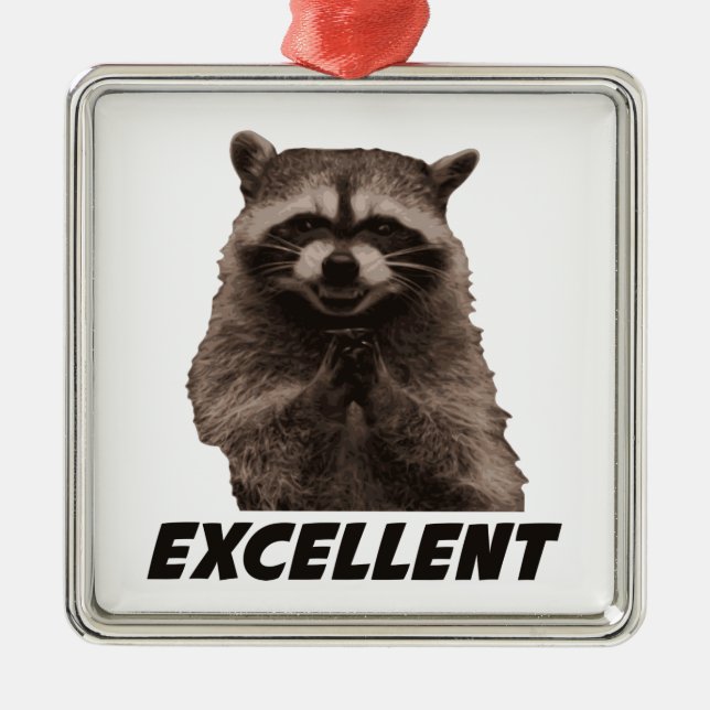 Ausgezeichneter schlechter Darstellungs-Waschbär Ornament Aus Metall (Vorne)