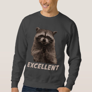 Ausgezeichneter schlechter Darstellungs-Waschbär Sweatshirt