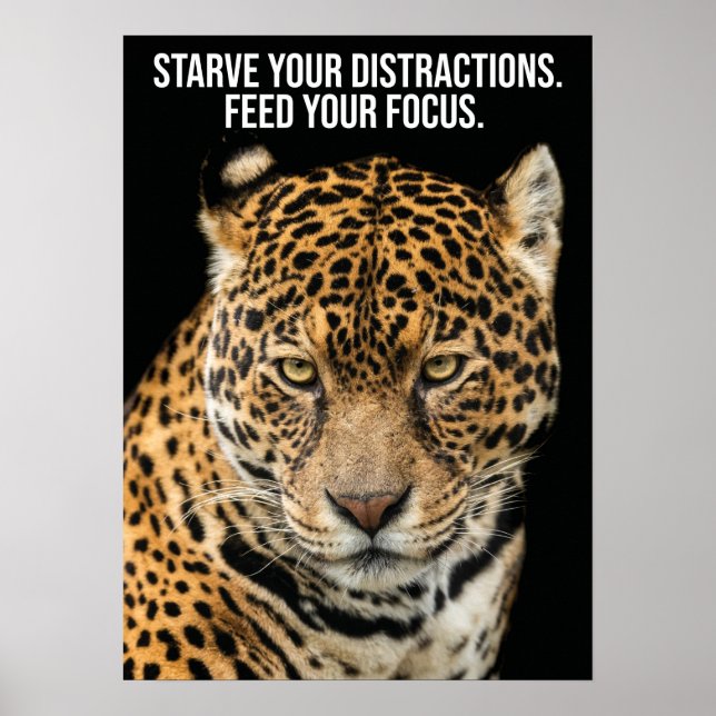 Auslenkungen aushungern, Fokus Gefüttert - Tiger-E Poster (Vorne)
